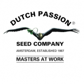 Dutch Passion Fast