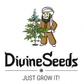 Divine Seeds