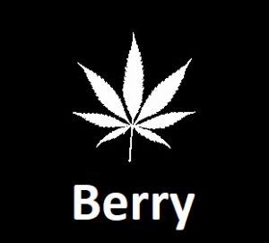 meilleures-varietes-graines-de-cannabis-berry