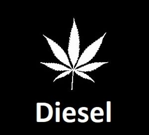 meilleures-varietes-graines-de-cannabis-diesel