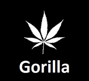 meilleures-varietes-graines-de-cannabis-gorilla