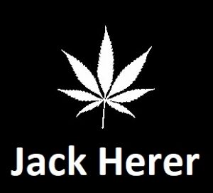 meilleures-varietes-graines-de-cannabis-jack-herer
