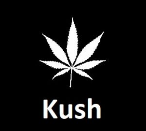 meilleures-varietes-graines-de-cannabis-kush
