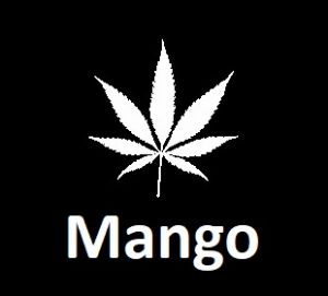 meilleures-varietes-graines-de-cannabis-mango
