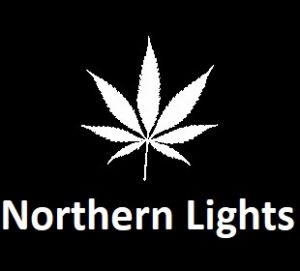 meilleures-varietes-graines-de-cannabis-northern-lights