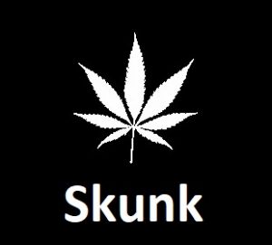 meilleures-varietes-graines-de-cannabis-skunk