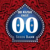 00 Kush Fast - 00 Seeds