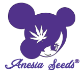 Anesia Seeds Auto
