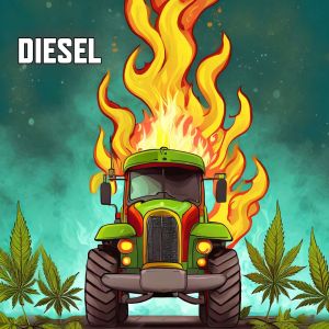 top-poikilies-sporon-kannavis-diesel
