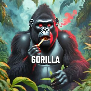 top-poikilies-sporon-kannavis-gorilla
