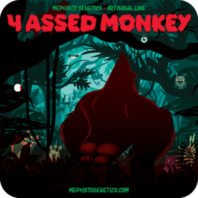 4 Assed Monkey Auto - Mephisto Genetics